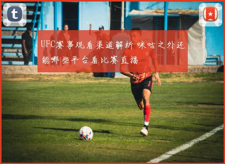 UFC赛事观看渠道解析 咪咕之外还能哪些平台看比赛直播