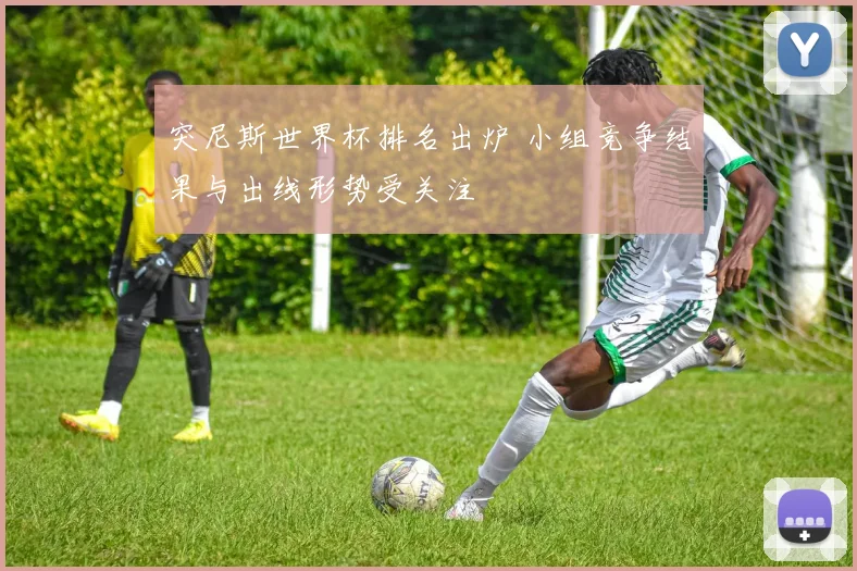 突尼斯世界杯排名出炉 小组竞争结果与出线形势受关注